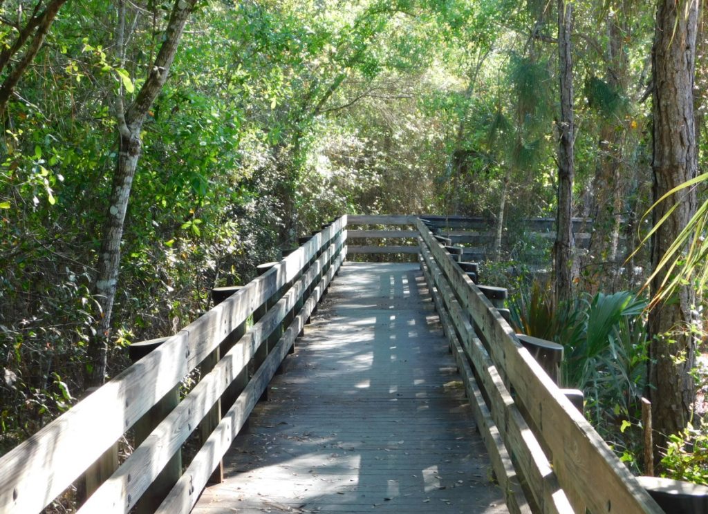 Brücke in den Everglades