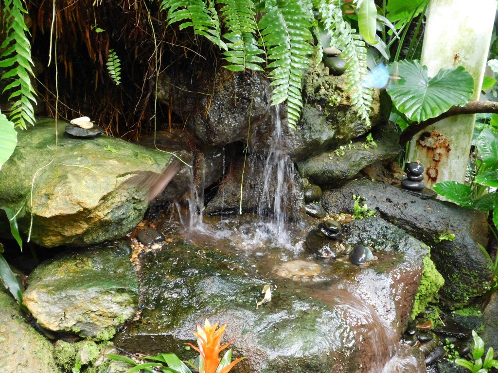 Wasserbassin in Nationalpark Everglades in Florida