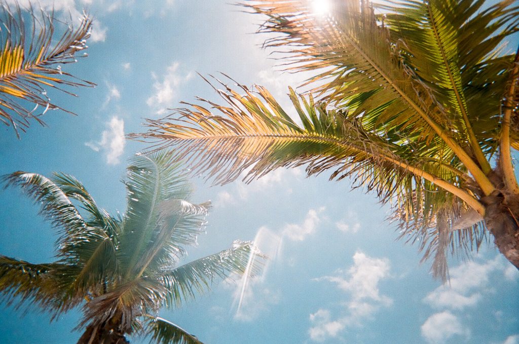 Attractions Discover Florida ⋆ Cape Coral Info