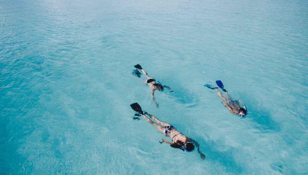 Drei Schnorchler im glasklaren Meer bei Cape Coral